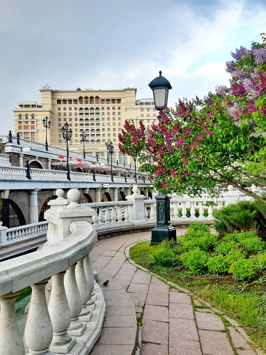 Весна 2025 в Москве. Волшебный аромат весны в Александровском саду.