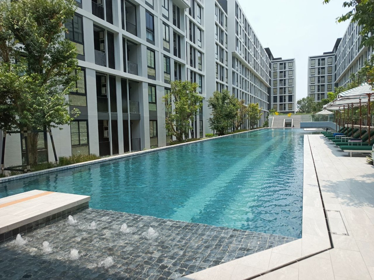 Все фото из моего архива.