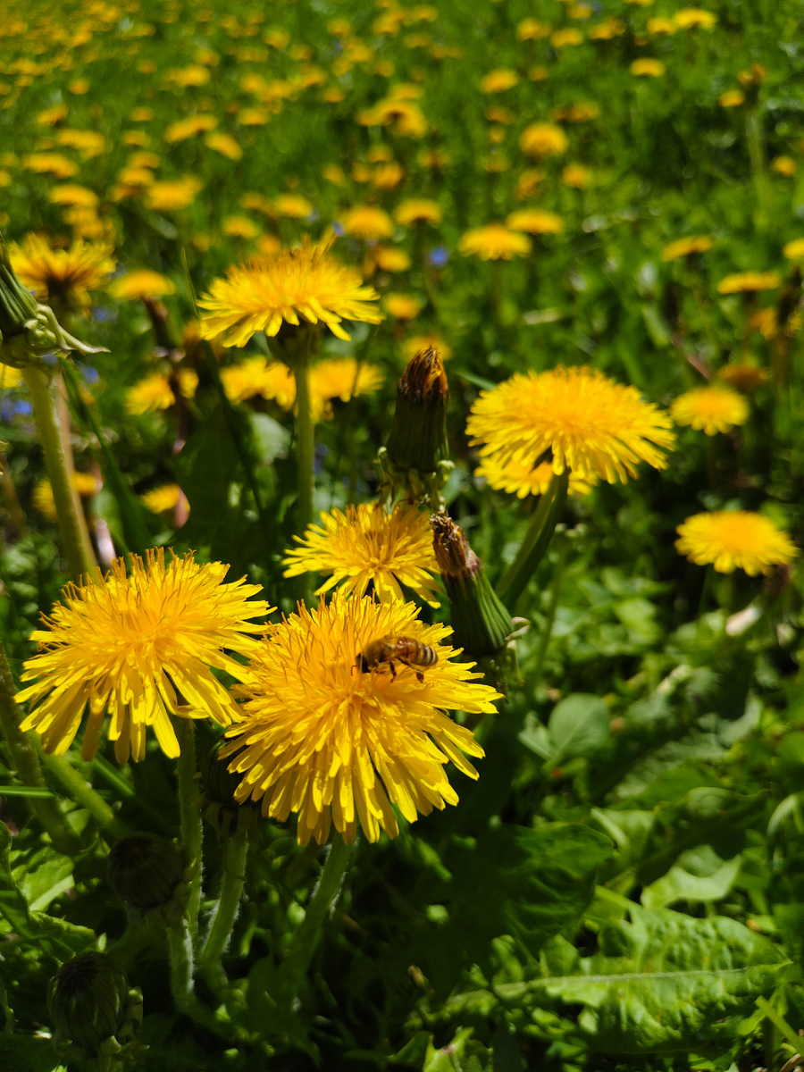 Фото из личного архива