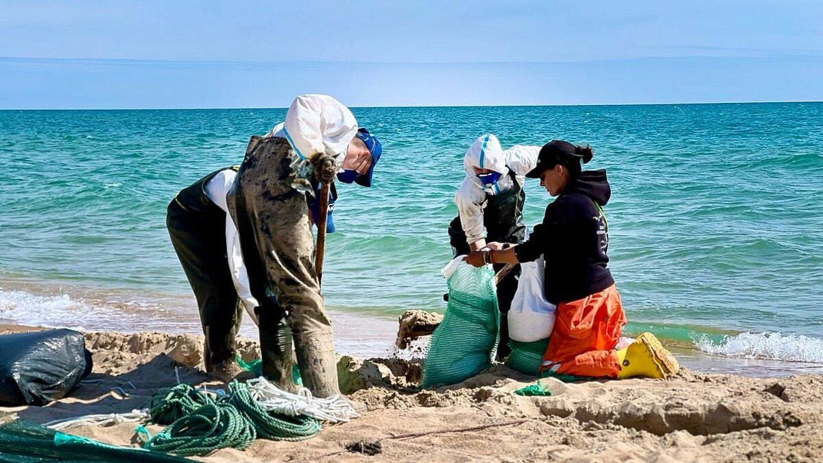    Фото: t.me/opershtab23