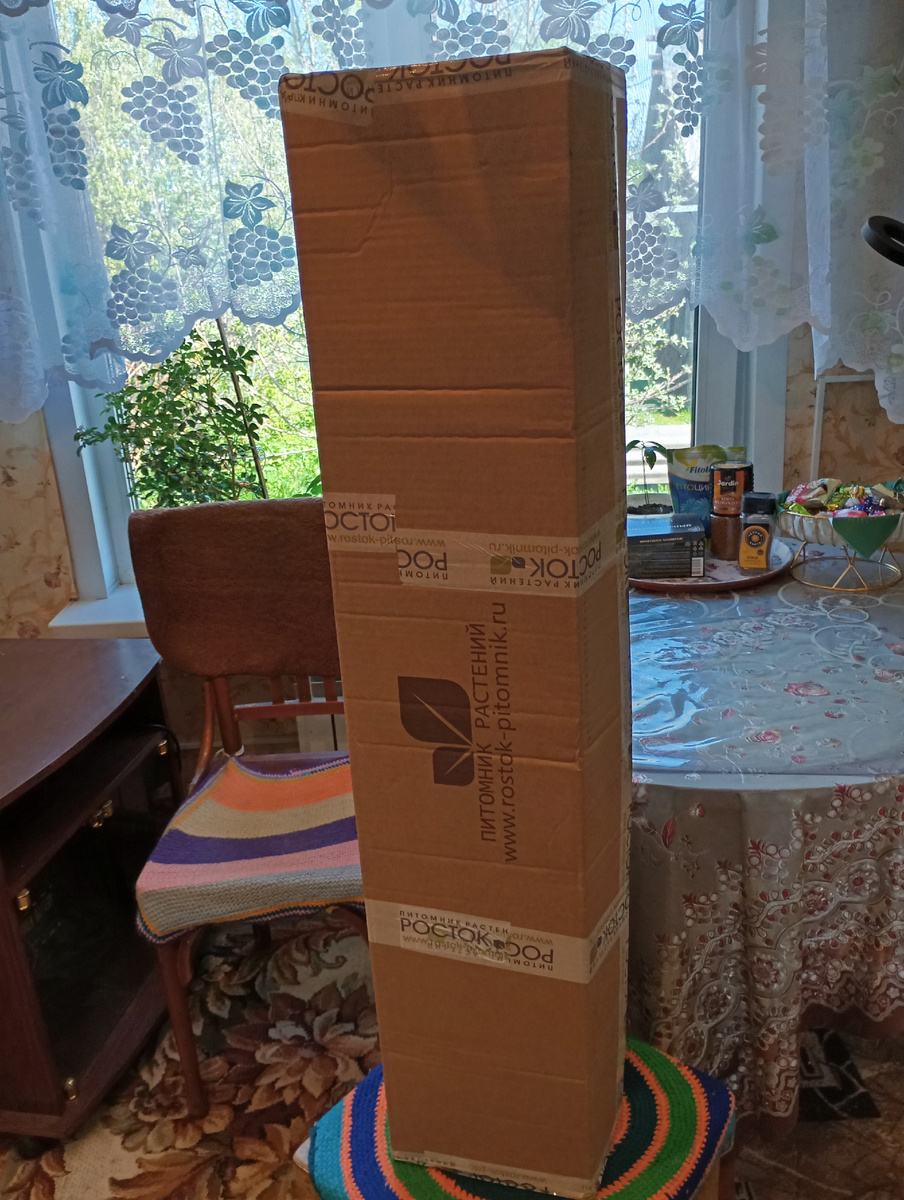 Посылка, фото автора.