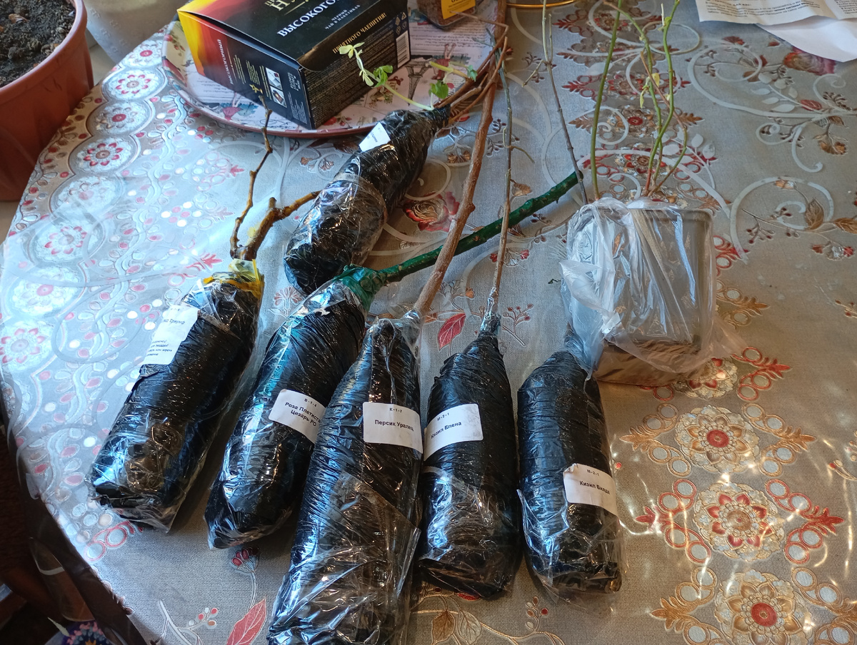 Фото автора.