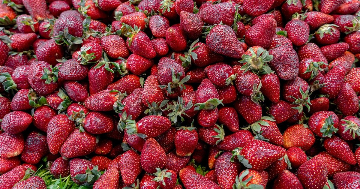 Фото: Akbar Nemati / Unsplash