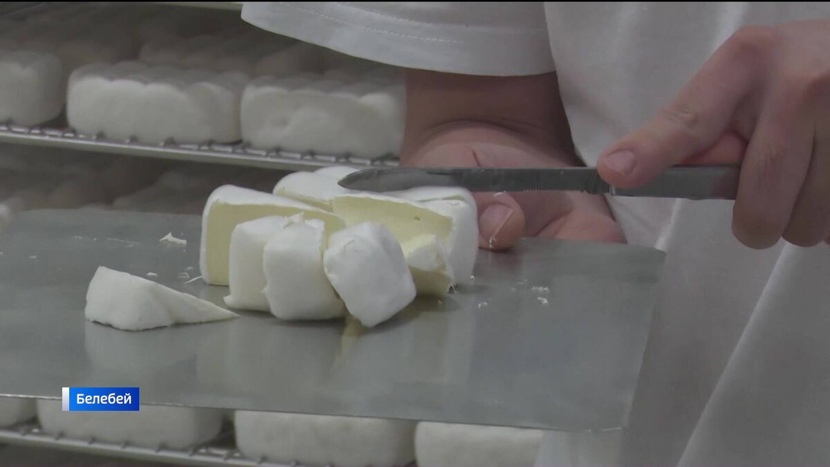    «Камамбер» и «Бри» в башкирской адаптации: в Белебее открылось производство мягких сыров
