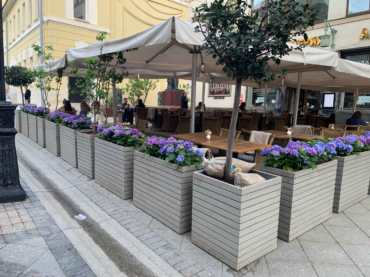 В Камергерском переулке 