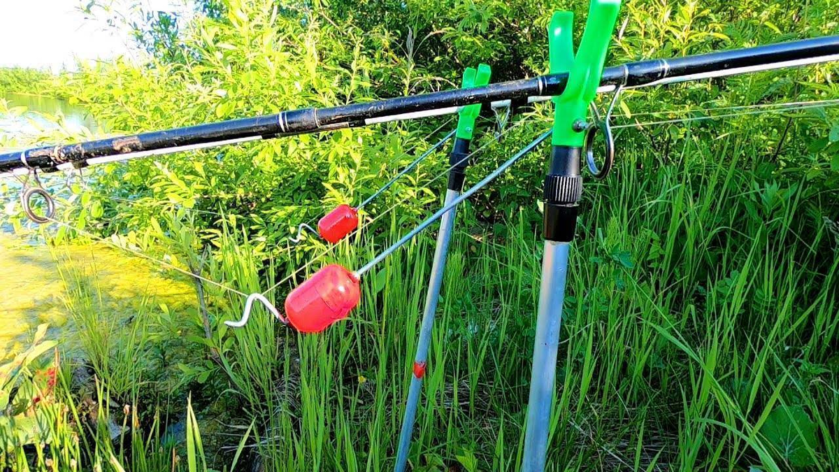 Фото с сайта: https://pic.rutubelist.ru/video/6c/2f/6c2f897d8cefda2c32cb2be43c10ab49.jpg