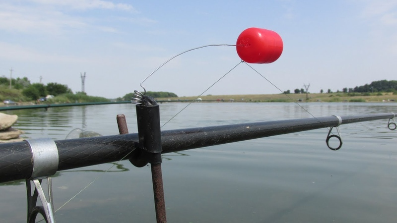 Фото с сайта: https://ya.ru/images