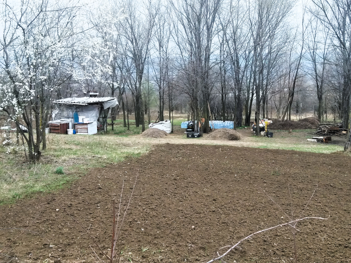 Фото автора