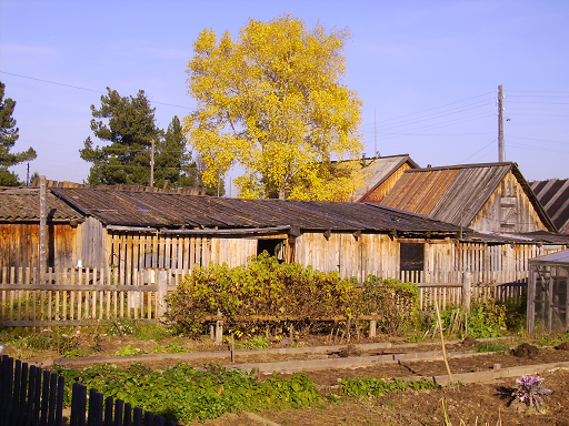 Этот тополь ото всюду видно
