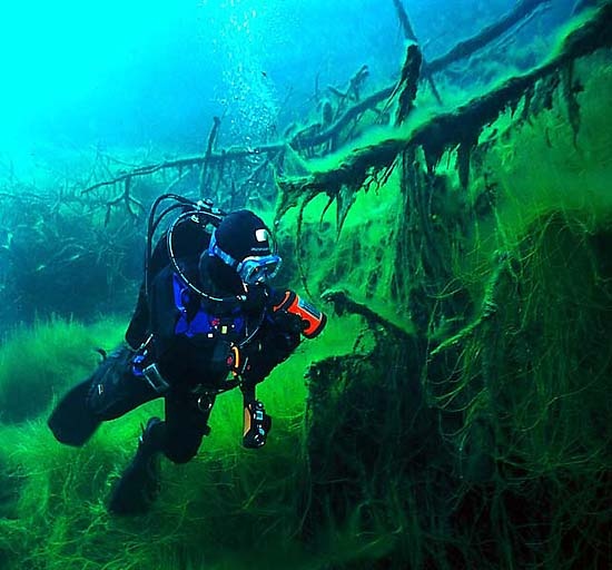 Фото из интернета