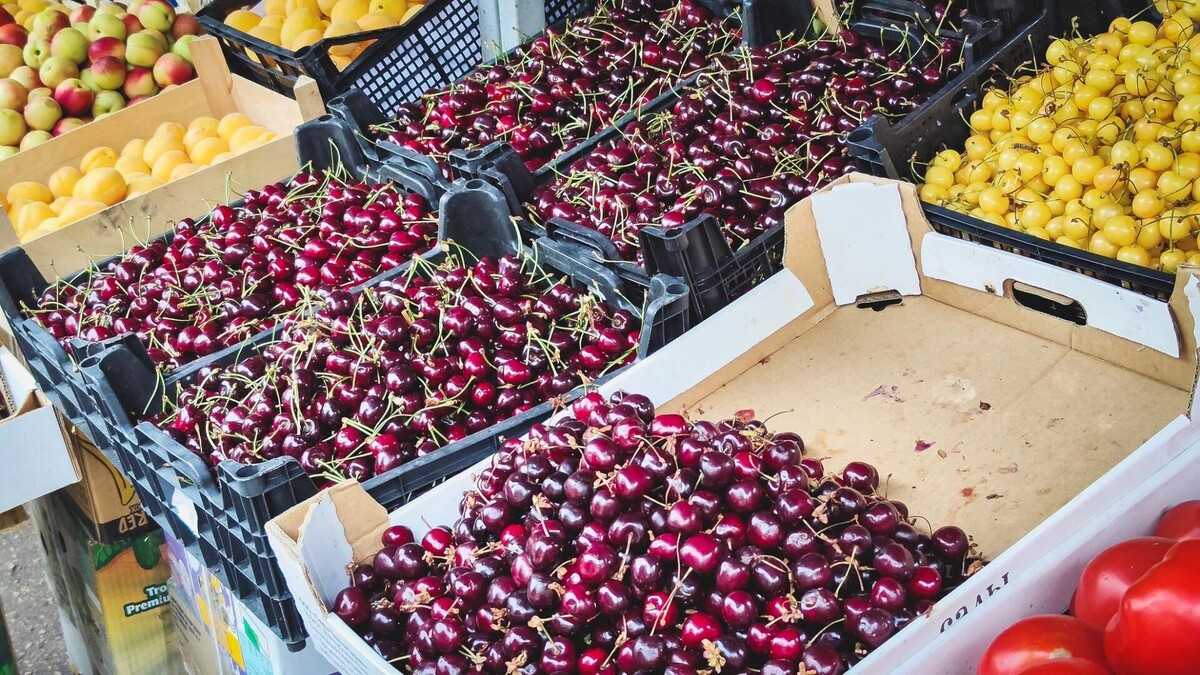     Источник: 1MI