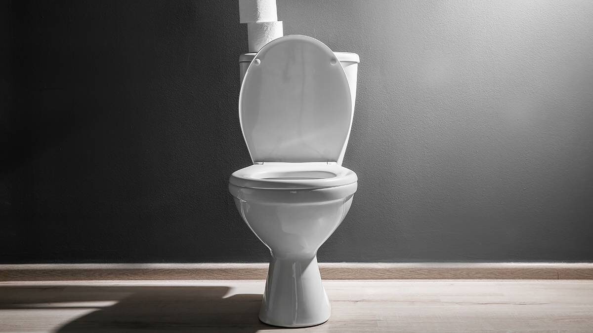    Фото: Shutterstock