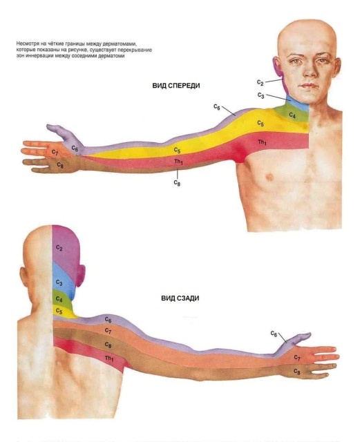 Обычно что-то примерно из такого формата