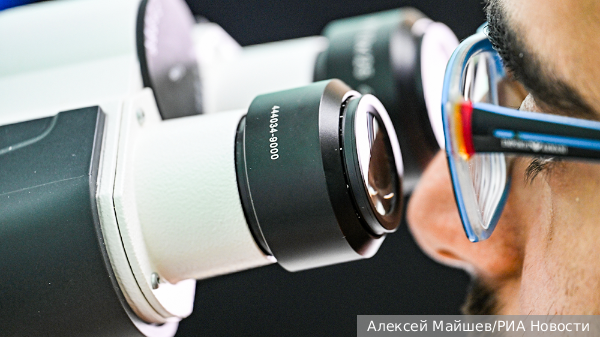     Фото: Алексей Майшев/РИА Новости   
 Текст: Ольга Иванова