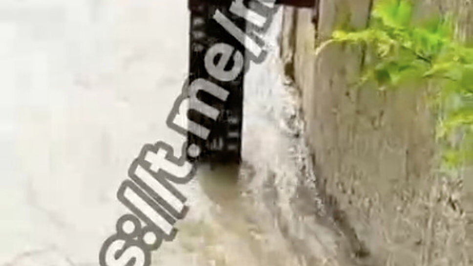 Фото: Михаил Миненков / t.me