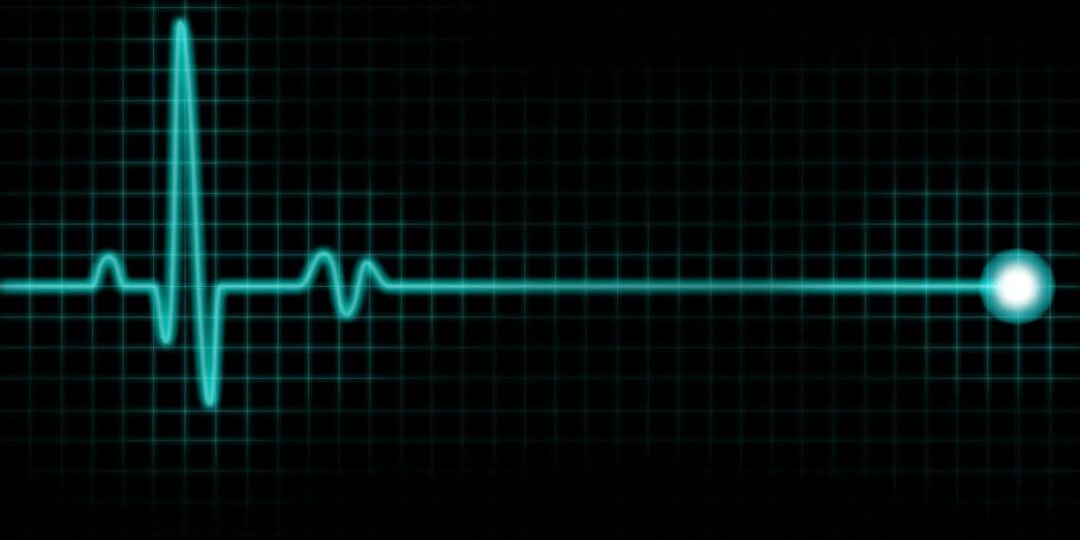 Чем чаще пульс — тем короче жизнь? Разбираюсь, как сохранить сердце здоровым