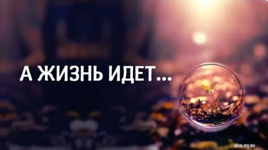 Картинка с интернета. 