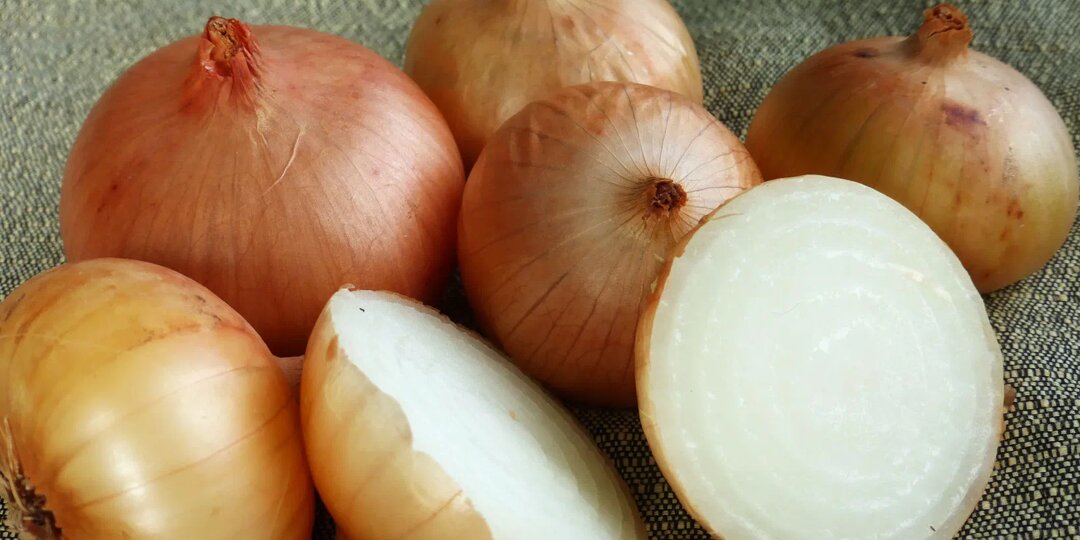 Почему я ем лук каждый день — и вам советую (но с оговорками)