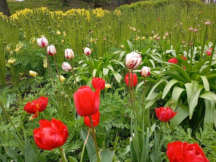 Рига, 9 мая 2025