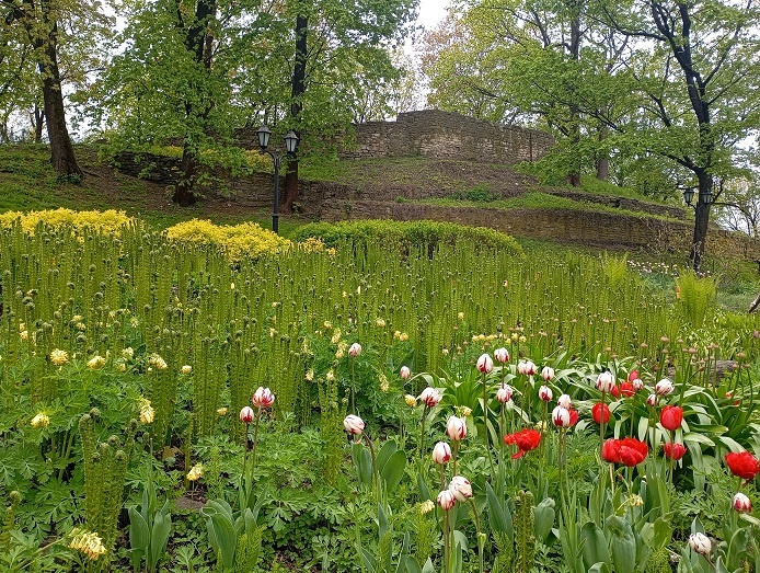 Рига, 9 мая 2025