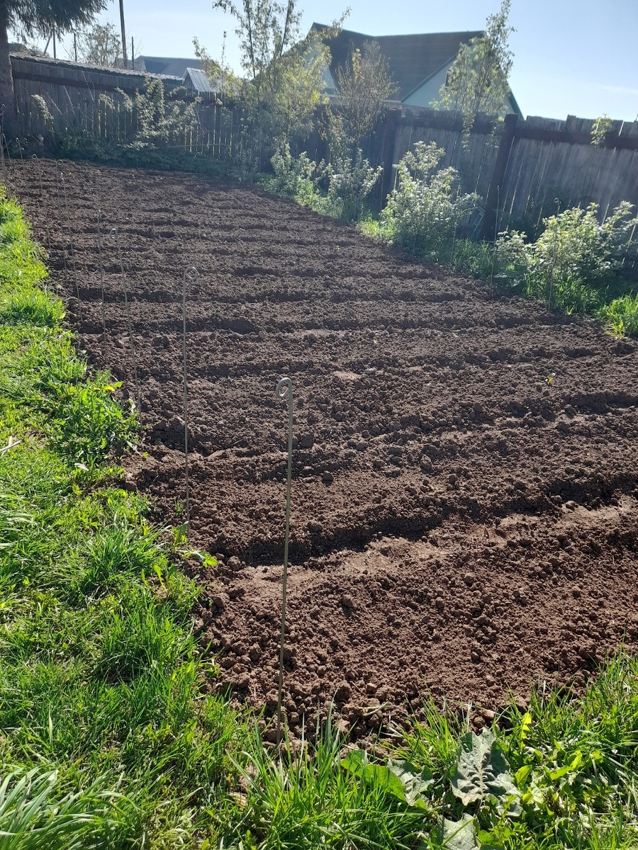 Грядки ждут своих жильцов...