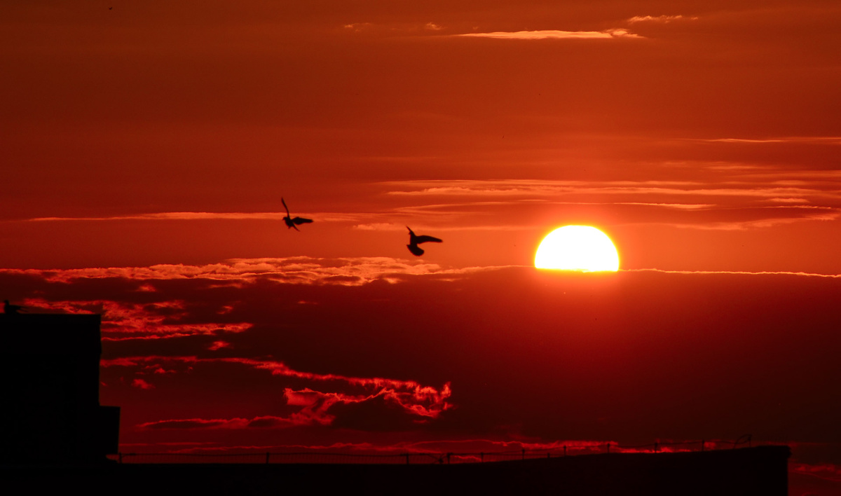 Фото из интернета.