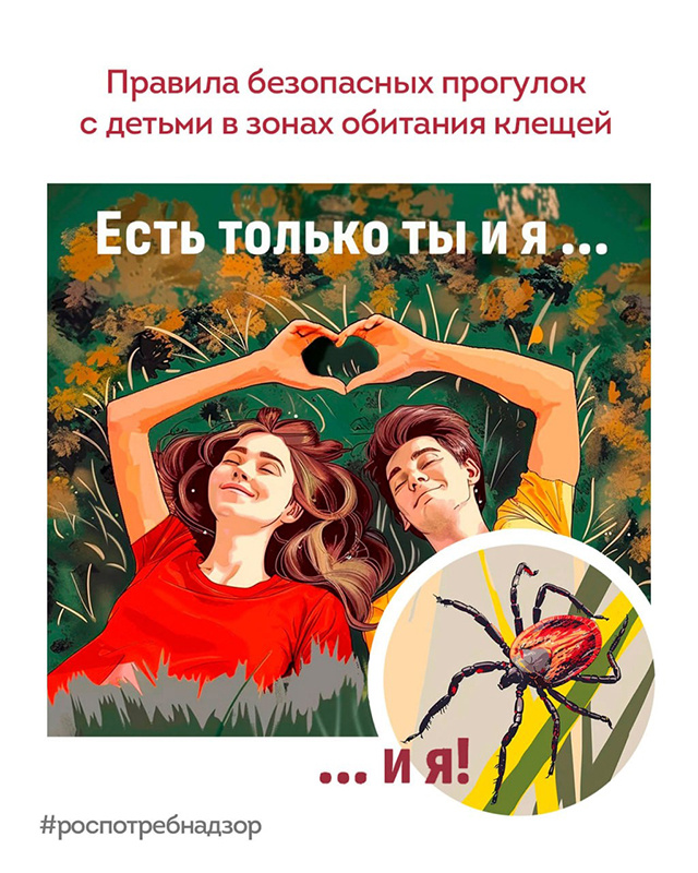 176 жителей Тверской области покусали клещи за неделю