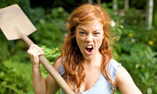 картинка в свободном доступе