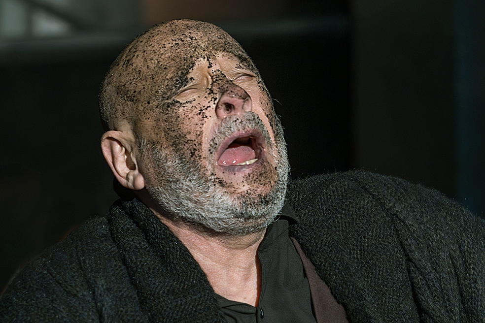 Александр Бордуков (Мартын Петрович Харлов). Фото с официального сайта Театра Елены Камбуровой.