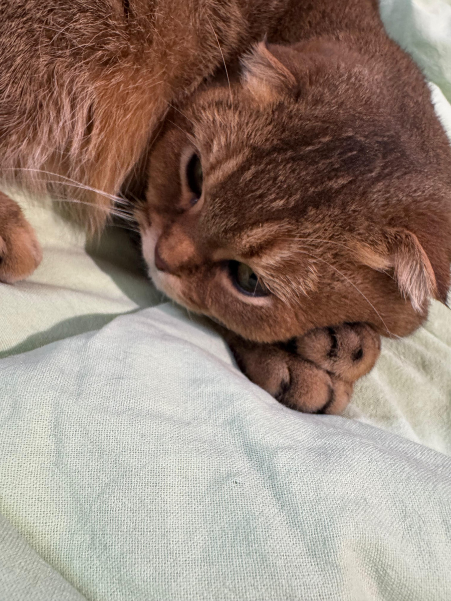 Мэй Ли ( из личного архива)