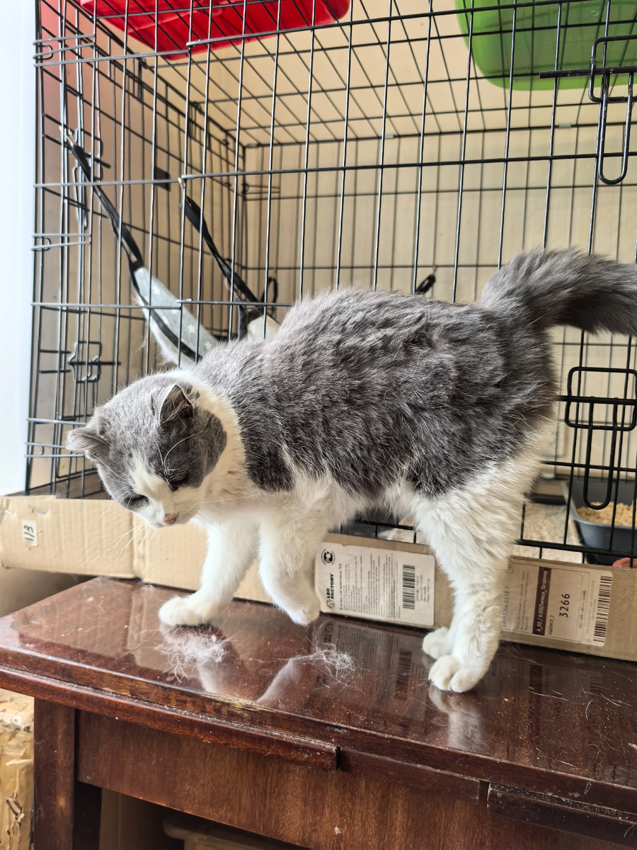 Ну не умею я и не люблю позировать! Фото из архива автора