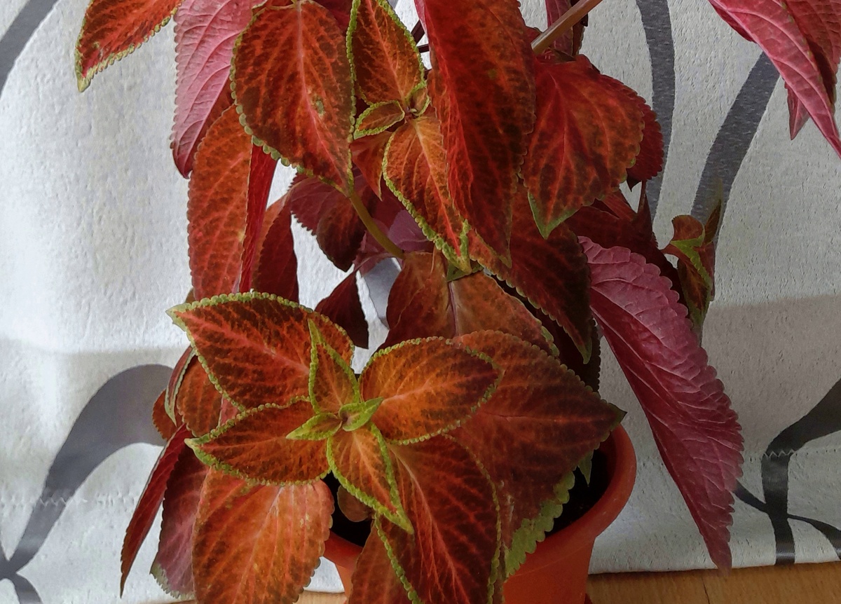 Фото автора канала