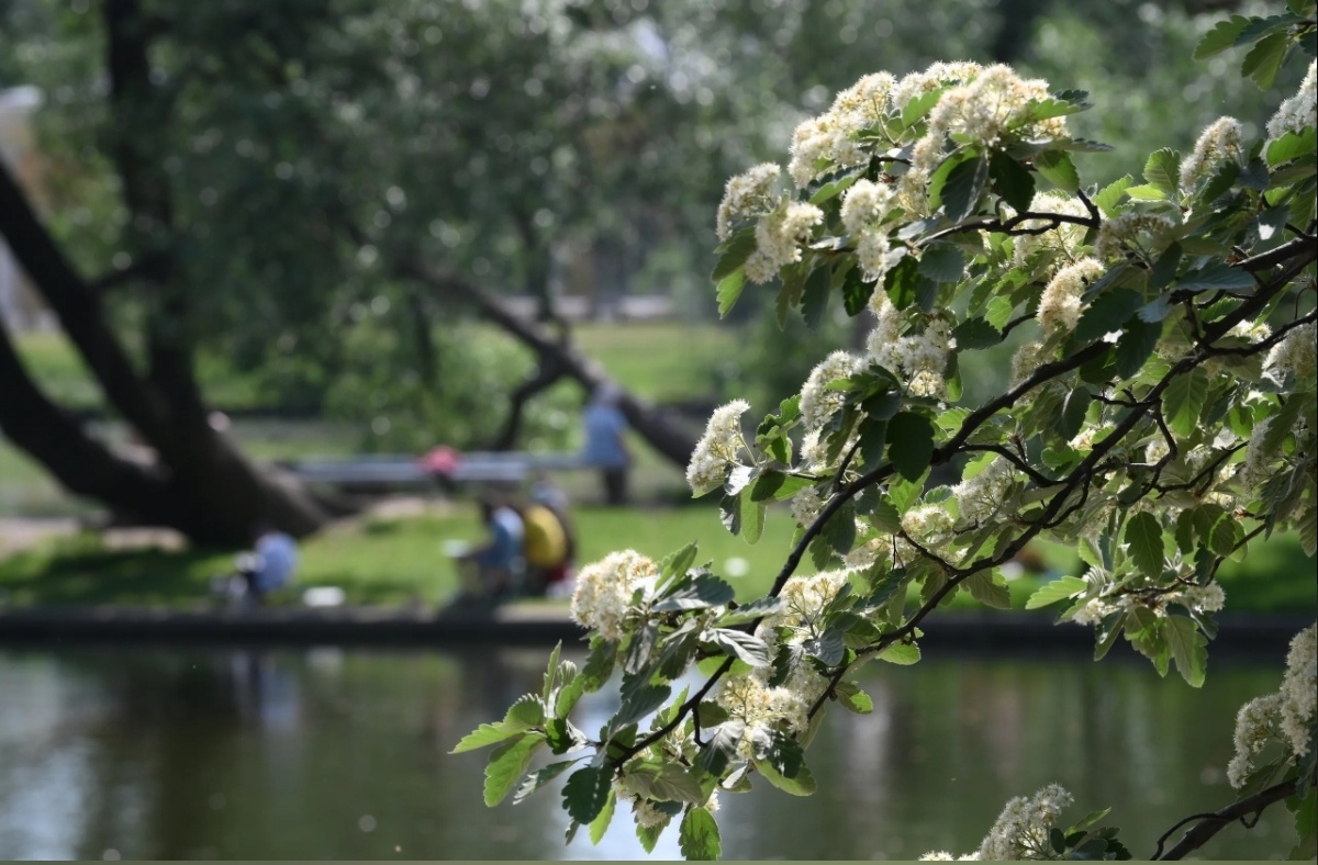 Фото с простор интернета 