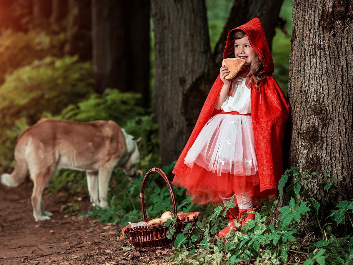 Источник картинки: https://golnk.ru/QKN9L