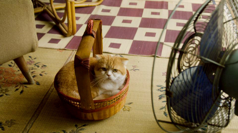 Мастер Утамару. Внушает, правда же?