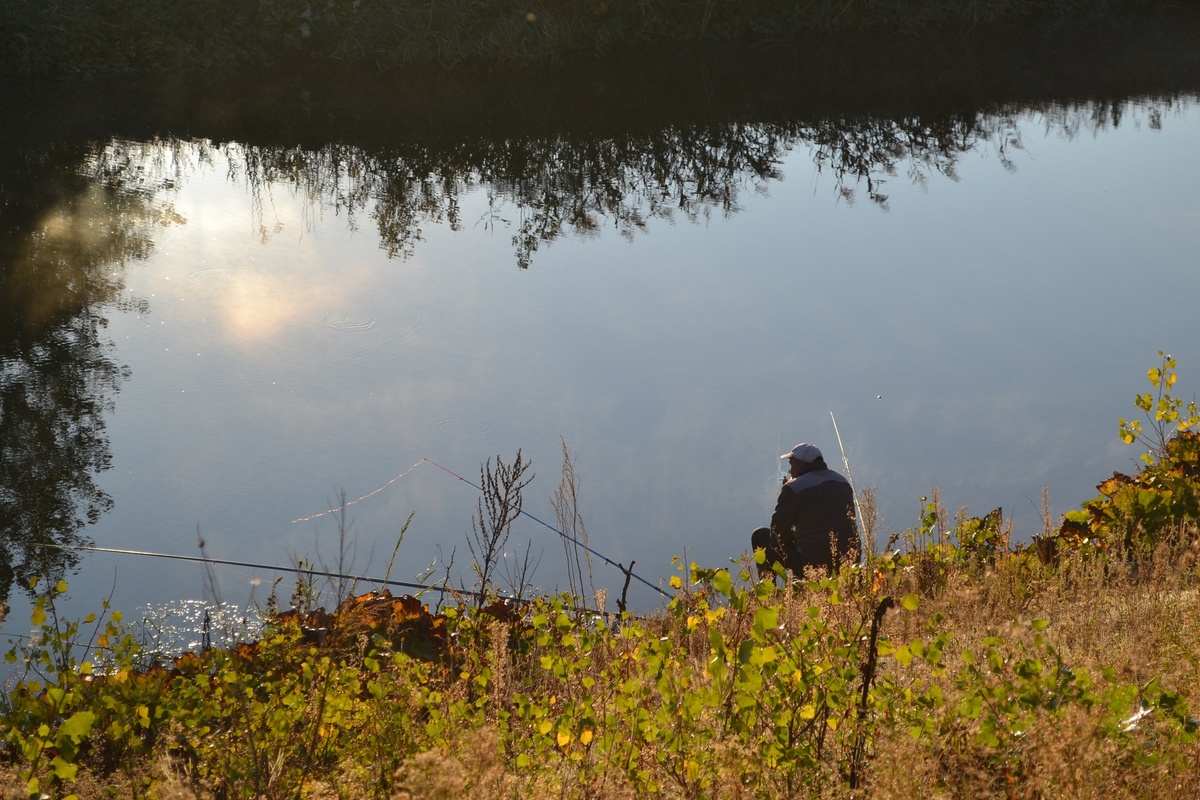 Фото автора. Тишина. 2018г листаем...