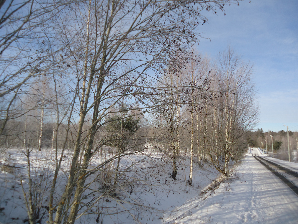 Дорога от Василёво к Митино. Из архива автора.