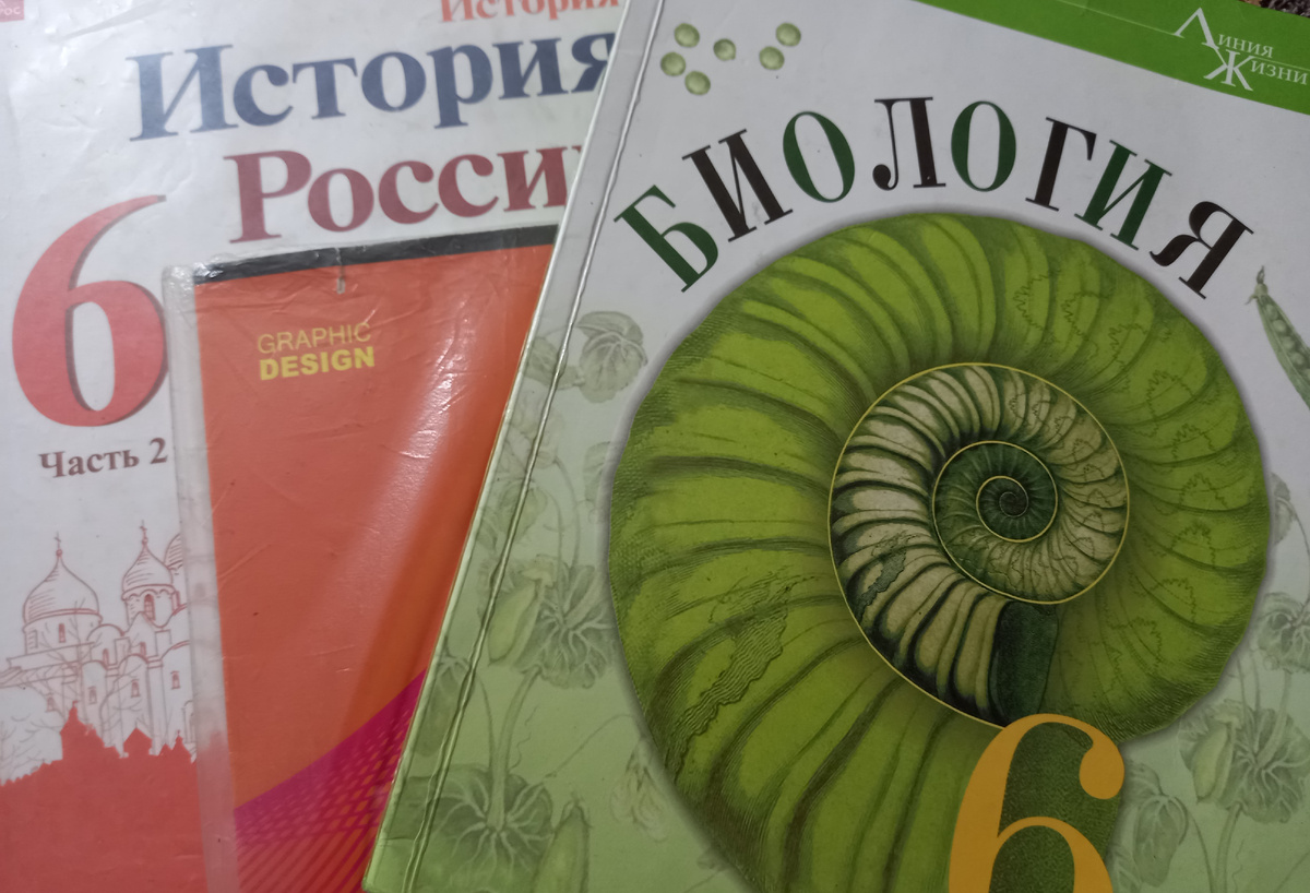 Учебники для 6 класса. Фото автора.