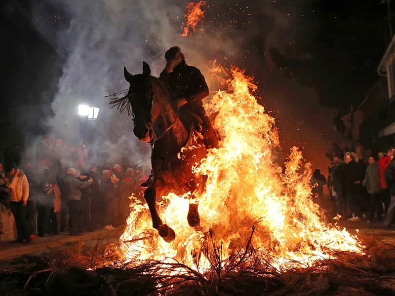 Выглядит жутко, представляю, как лошади страшно