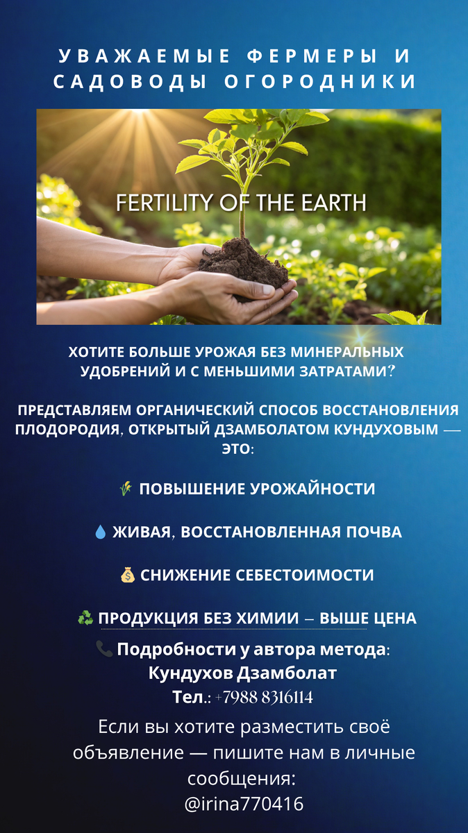 Скопируй чтобы не потерять