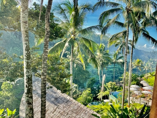 Вход через Tis Cafe