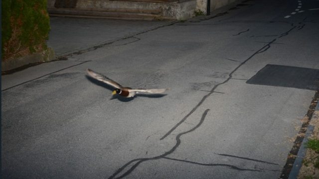    Фото: социальные сети