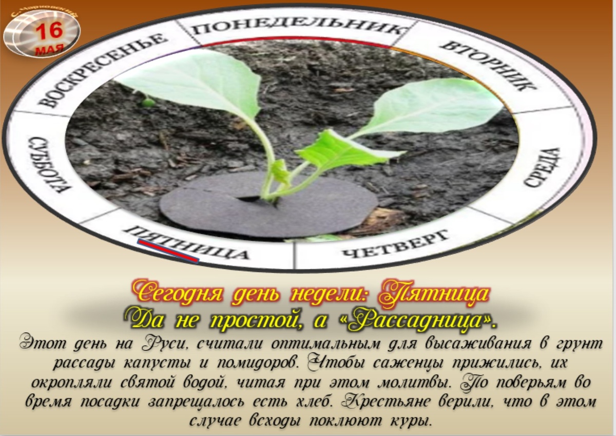 Встречаем новый день