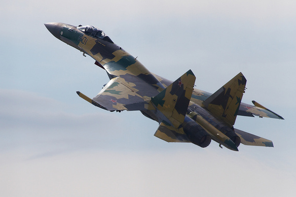 Су-35. Обложка © Wikipedia / Rulexip