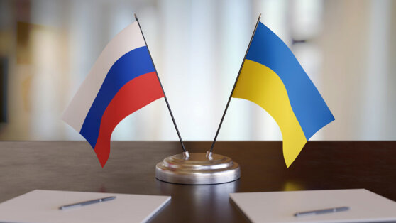    Мединский возглавит делегацию России на переговорах в Стамбуле ©vchal/Shutterstock/Fotodom