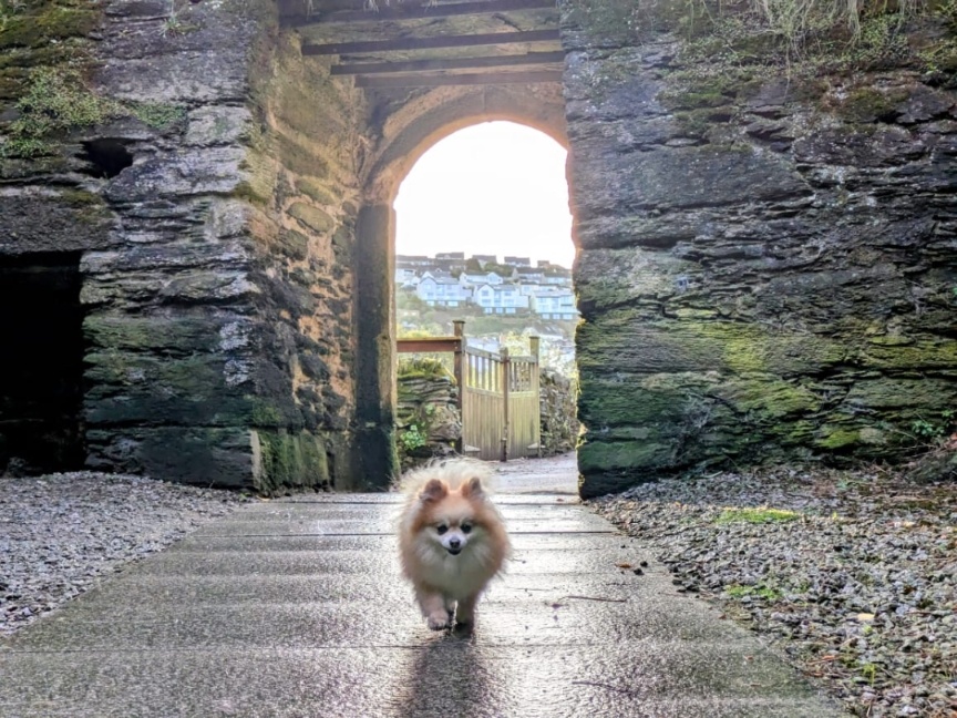 Сеньорита Паппучино, кратко Пеппи. Фото из личного архива 