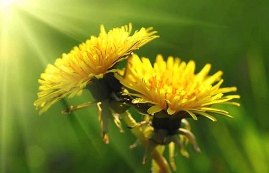 Фотография из открытых источников