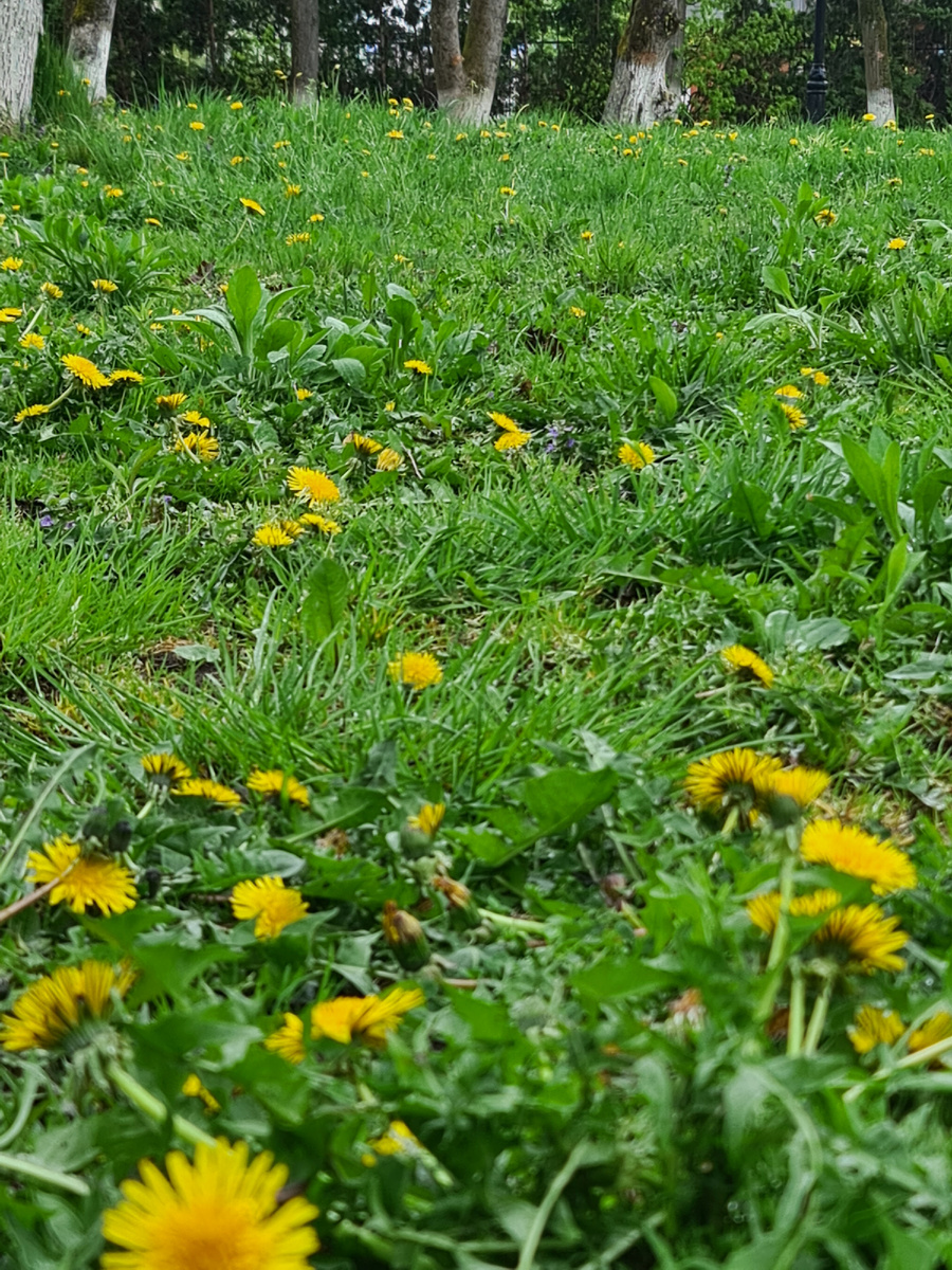 Фотография автора.  Полесск