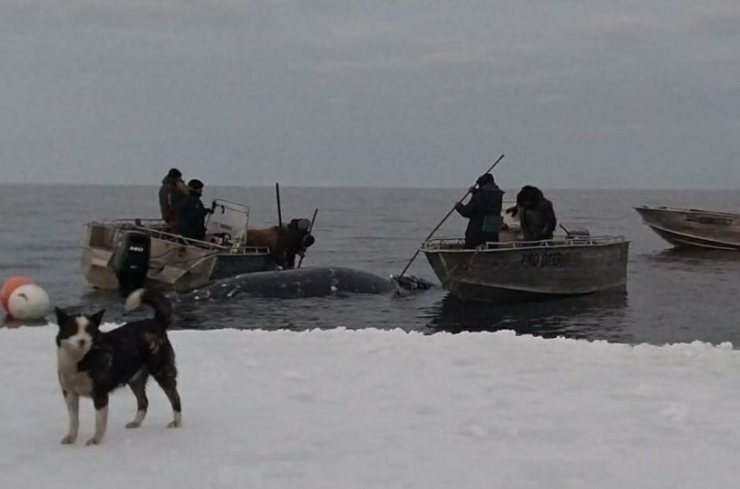 Фото: тг-канал / uelen_chukotka 
