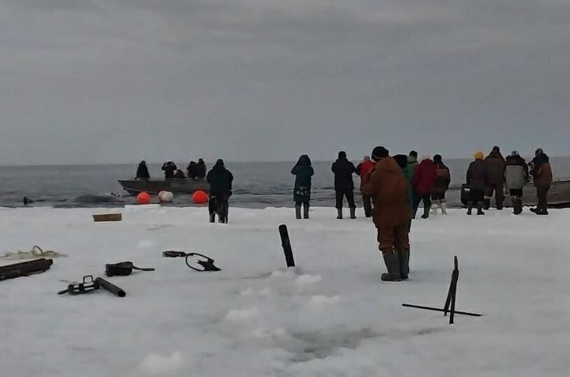 Фото: тг-канал / uelen_chukotka 